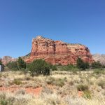 Kathryn Janicek Image